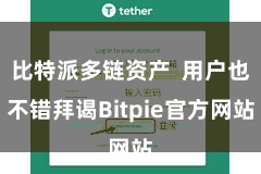 比特派多链资产 用户也不错拜谒Bitpie官方网站
