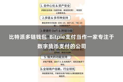 比特派多链钱包 Bitpie支付当作一家专注于数字货币支付的公司