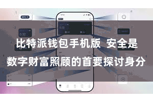 比特派钱包手机版 安全是数字财富照顾的首要探讨身分