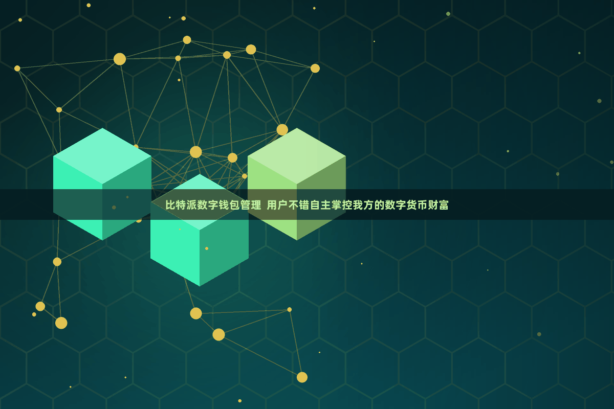 比特派数字钱包管理 用户不错自主掌控我方的数字货币财富