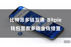 比特派多链互通 Bitpie钱包营救多链金钱措置