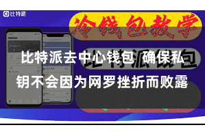 比特派去中心钱包  确保私钥不会因为网罗挫折而败露