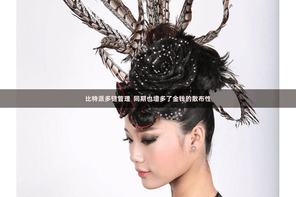 比特派多链管理  同期也增多了金钱的散布性