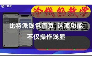 比特派钱包首页  这项功能不仅操作浅显