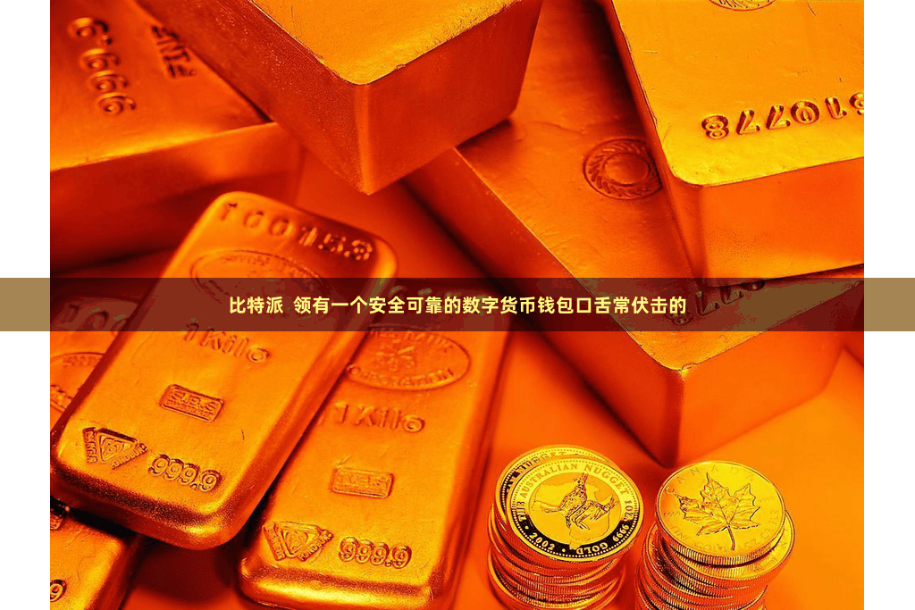 比特派  领有一个安全可靠的数字货币钱包口舌常伏击的