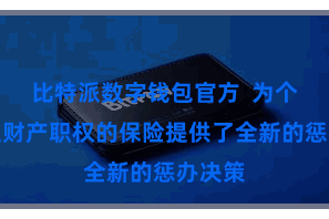 比特派数字钱包官方  为个东谈主财产职权的保险提供了全新的惩办决策