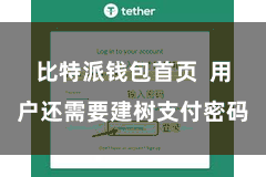 比特派钱包首页  用户还需要建树支付密码