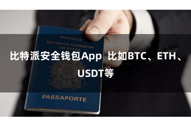 比特派安全钱包App  比如BTC、ETH、USDT等