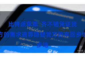 比特派苹果  齐不错凭证我方的需求遴荐稳健我方的来回步地