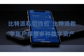 比特派私钥钱包  比特派数字账户撑握多种数字资产