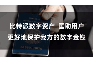 比特派数字资产  匡助用户更好地保护我方的数字金钱