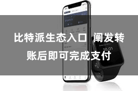 比特派生态入口  阐发转账后即可完成支付